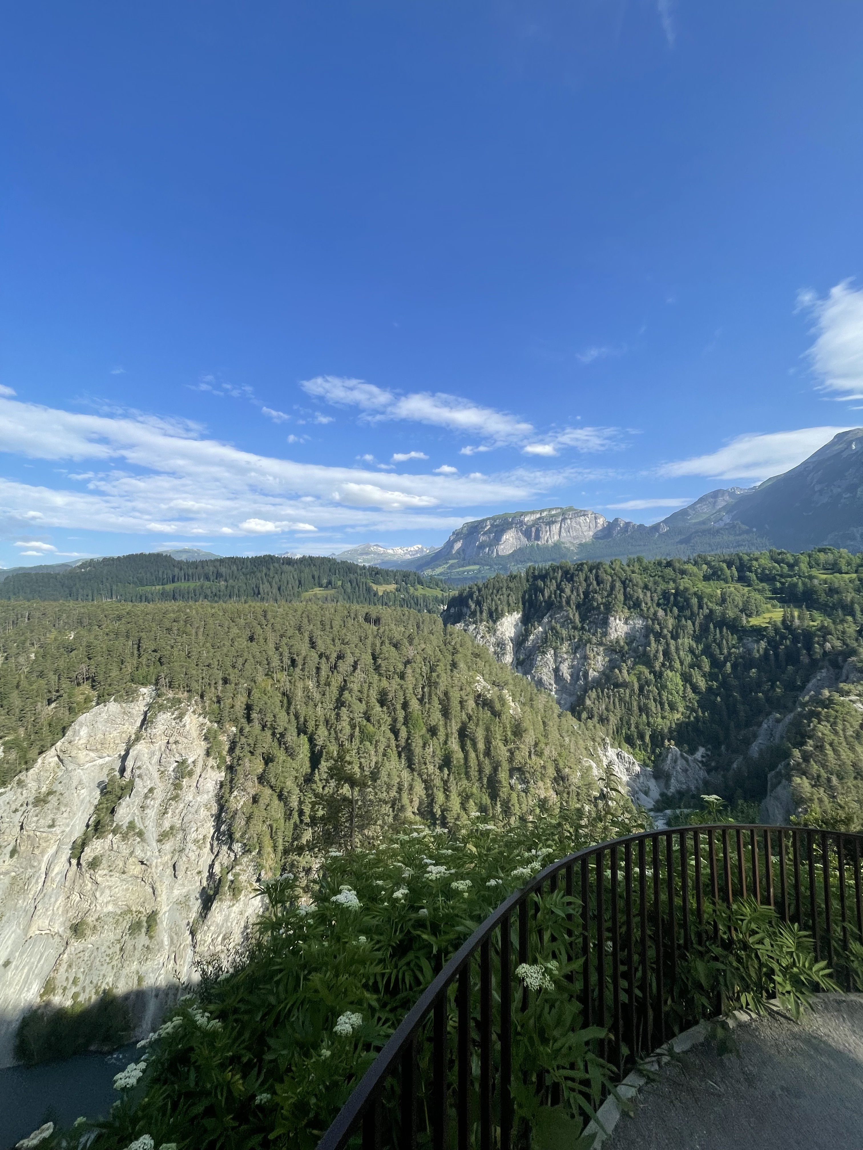 The Rhine Gorge near Chur – dramatic alpine landscape with forested rocky cliffs and a river far below under a vivid blue sky
